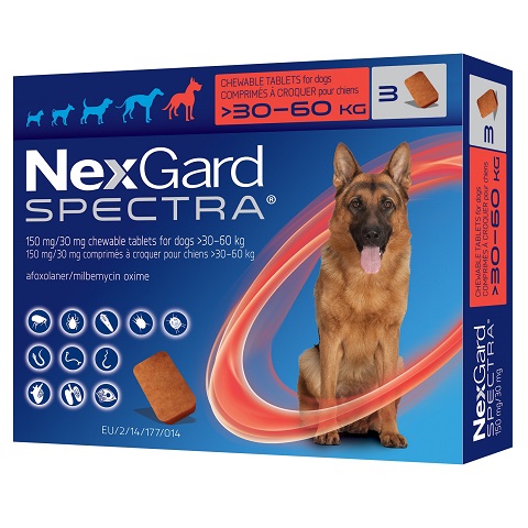 Nexgard xl hot sale